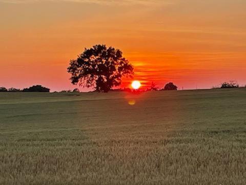 Вілла Les Cypres De Crose I Badefols-sur-Dordogne Екстер'єр фото