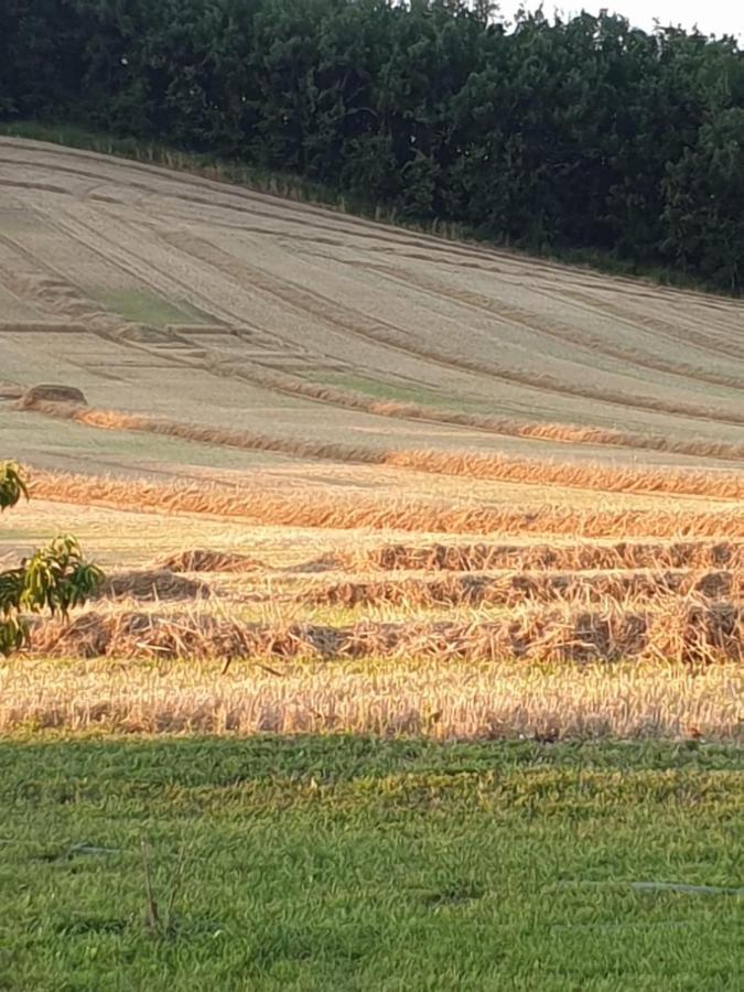 Вілла Les Cypres De Crose I Badefols-sur-Dordogne Екстер'єр фото