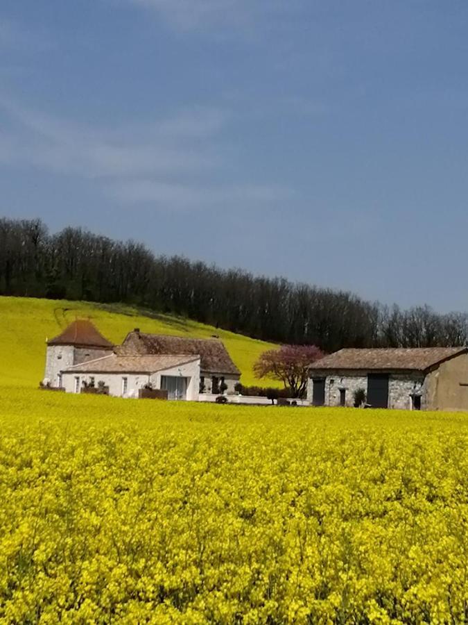 Вілла Les Cypres De Crose I Badefols-sur-Dordogne Екстер'єр фото